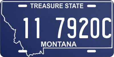 MT license plate 117920C