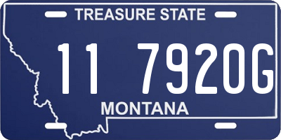 MT license plate 117920G