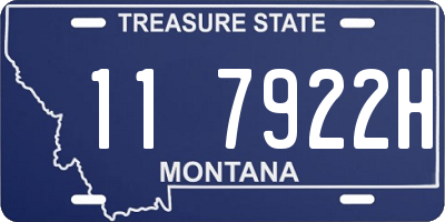 MT license plate 117922H