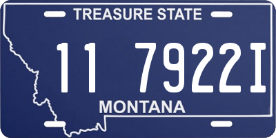 MT license plate 117922I