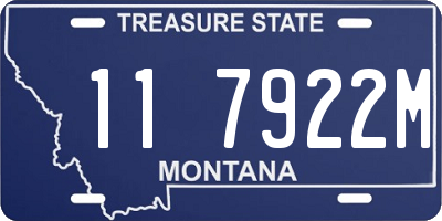 MT license plate 117922M