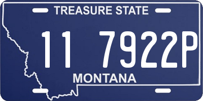 MT license plate 117922P