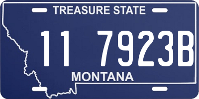 MT license plate 117923B