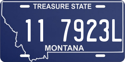MT license plate 117923L