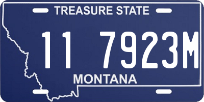 MT license plate 117923M