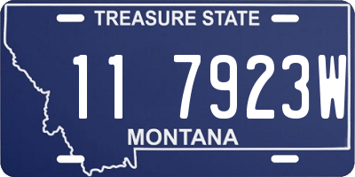 MT license plate 117923W