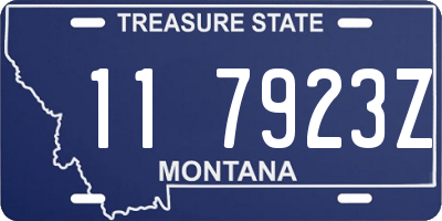 MT license plate 117923Z