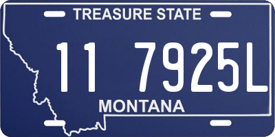 MT license plate 117925L