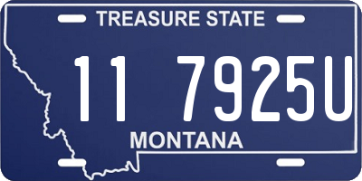 MT license plate 117925U