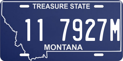 MT license plate 117927M