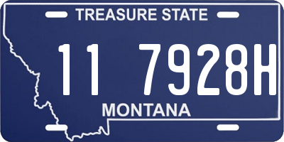 MT license plate 117928H