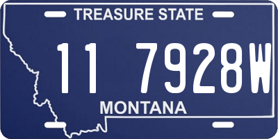 MT license plate 117928W