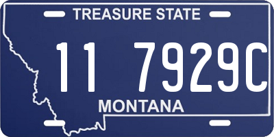 MT license plate 117929C