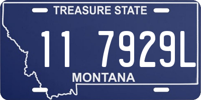 MT license plate 117929L