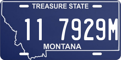MT license plate 117929M