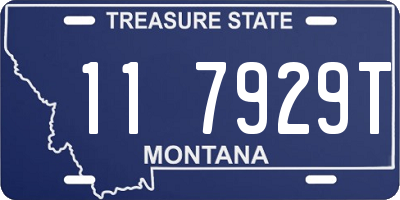 MT license plate 117929T