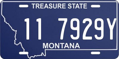 MT license plate 117929Y