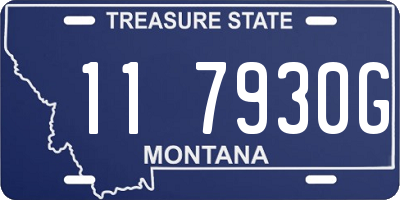 MT license plate 117930G