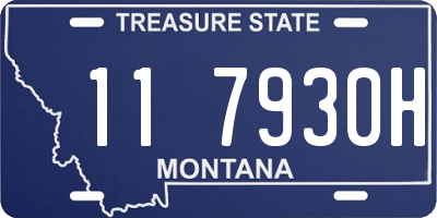 MT license plate 117930H
