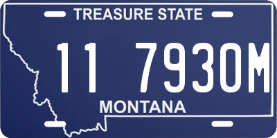 MT license plate 117930M