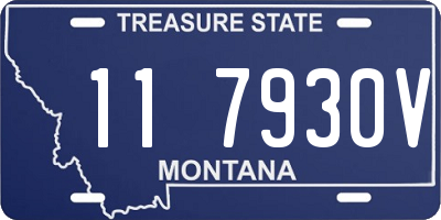MT license plate 117930V