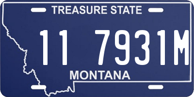 MT license plate 117931M