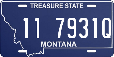 MT license plate 117931Q