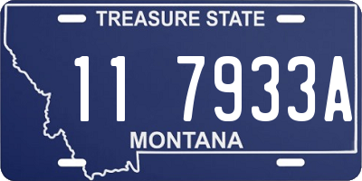 MT license plate 117933A