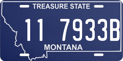 MT license plate 117933B