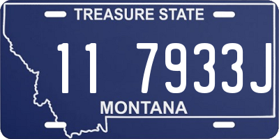 MT license plate 117933J