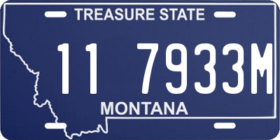 MT license plate 117933M