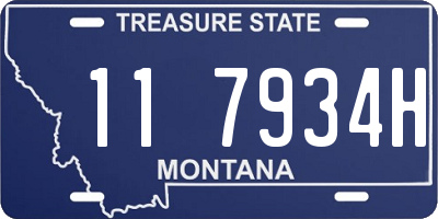 MT license plate 117934H