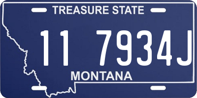 MT license plate 117934J