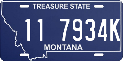 MT license plate 117934K