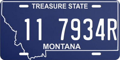 MT license plate 117934R