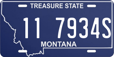 MT license plate 117934S