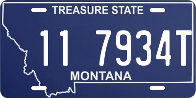 MT license plate 117934T