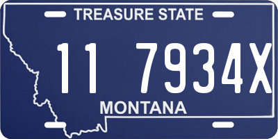 MT license plate 117934X