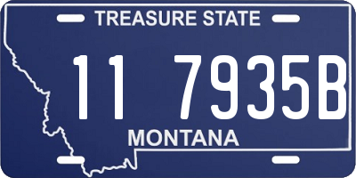 MT license plate 117935B