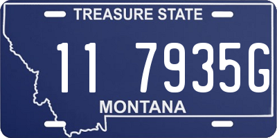 MT license plate 117935G