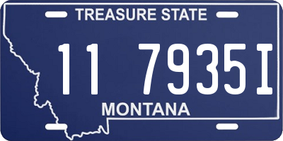 MT license plate 117935I