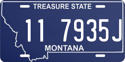 MT license plate 117935J