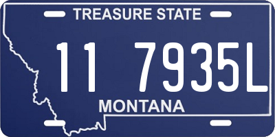 MT license plate 117935L
