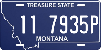 MT license plate 117935P