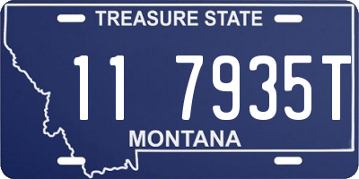 MT license plate 117935T