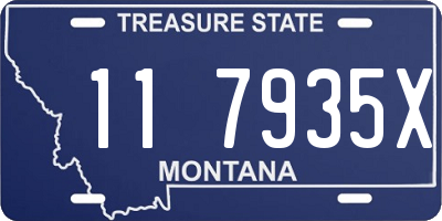 MT license plate 117935X