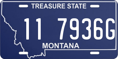MT license plate 117936G