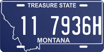 MT license plate 117936H