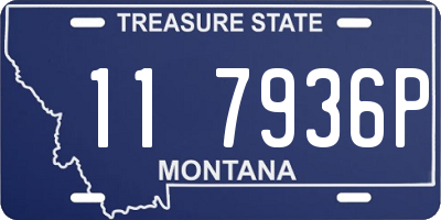 MT license plate 117936P