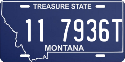 MT license plate 117936T